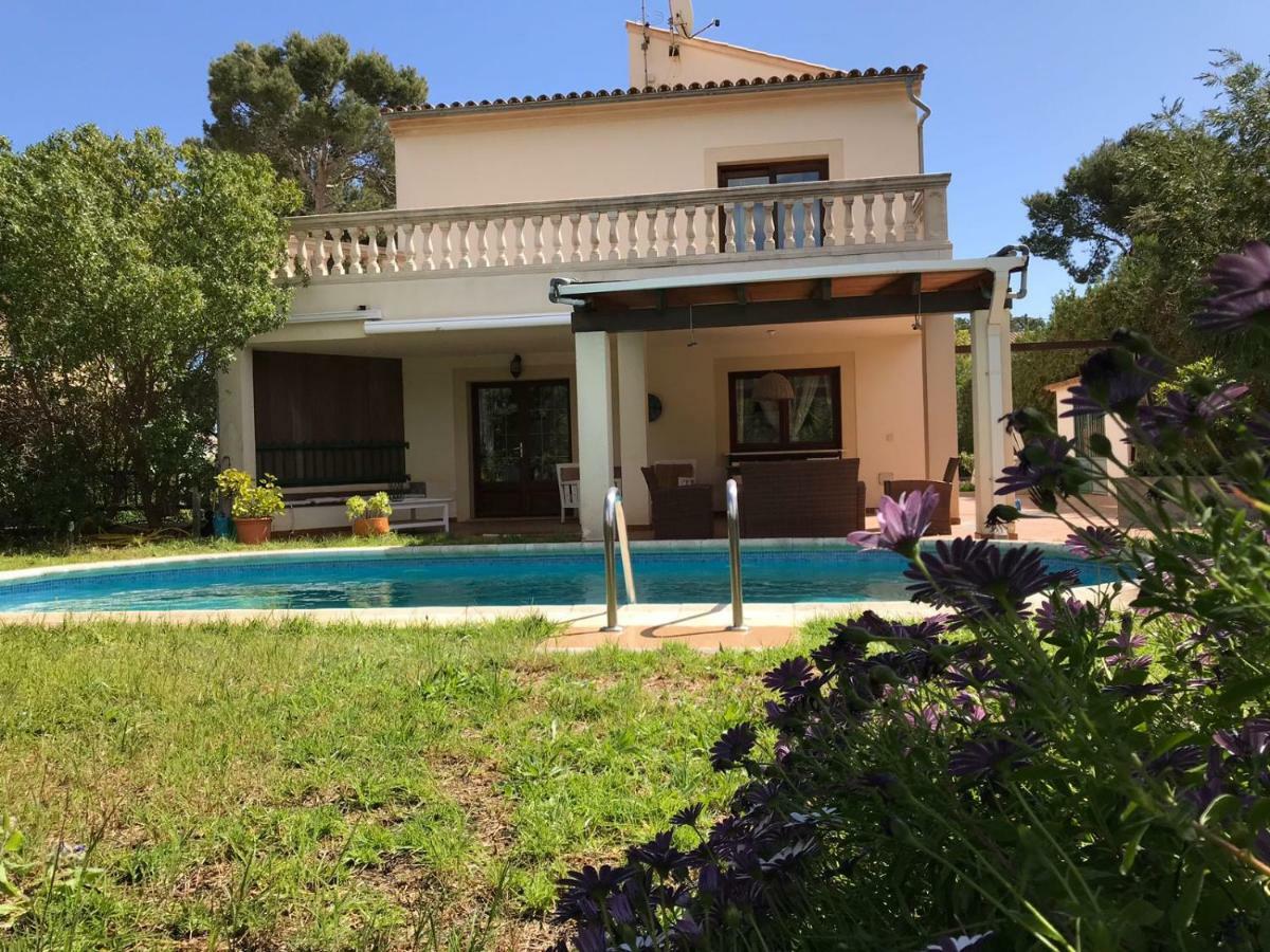 فيلا Dream House كالا راتخاذا المظهر الخارجي الصورة